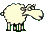 schaefchen.gif
