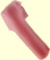 Fleshlight<sup>®</sup> Insert Standard Empfehlung
