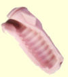 Fleshlight Insert Wonder Wave empfehlen