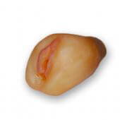 Nature Skin Soft Vagina