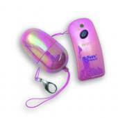 Remote Control Egg
