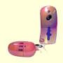 Remote Control Egg