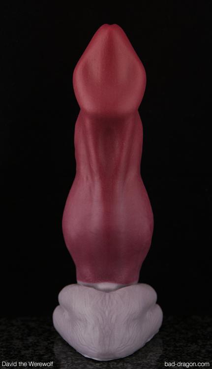 david.thumb.jpg.8ac5903ac792ae73a990c91e