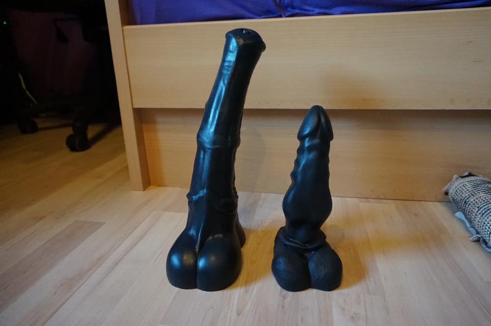 DSC07309.thumb.JPG.f7b0bb6b312d2c31ecc0e