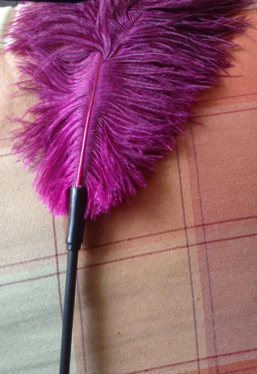 Straußenfeder.jpeg