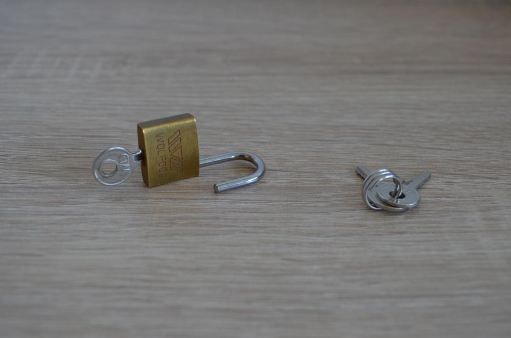 DSC_0369.thumb.JPG.5aa992fa4bd7c76a38120