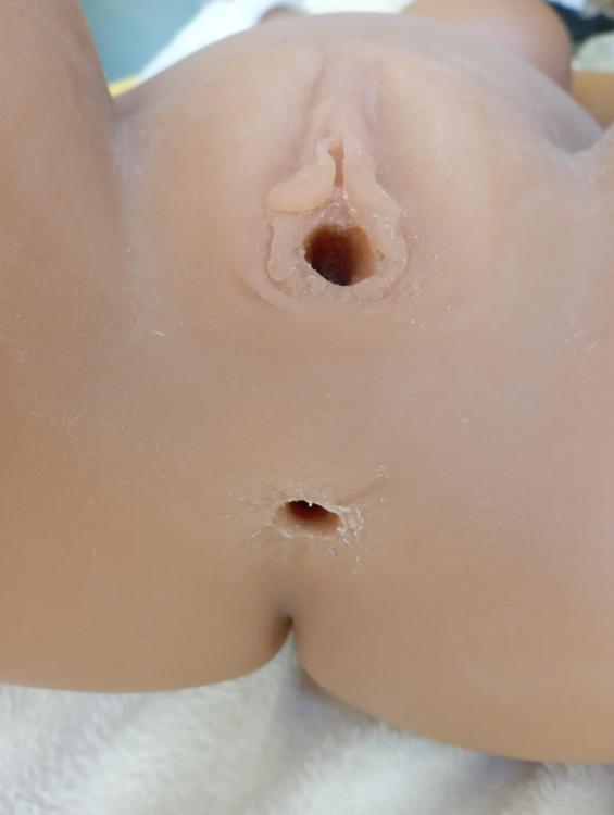 TPE Doll Gespreizte Beine Schritt.jpg