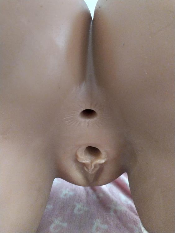 WhatsApp Image 2025-05-03 at 20.25.02(2).jpeg