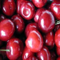 CherryBell