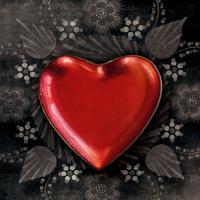 steelheart5123