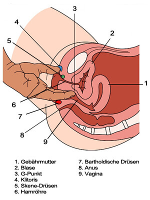 wie können frauen abspritzen