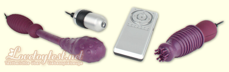 RendS R-1 Vibratoren Vibrator